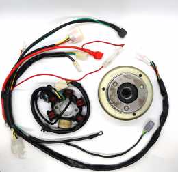 Thumpstar - Flywheel and Stator with Wiring Harness