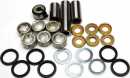 Blowout - All Balls - Bearing and Seal Linkage Kit for CR