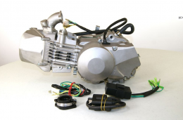Daytona -  Anima 190cc FDX Engine