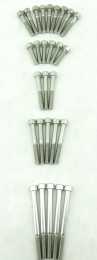 KLX110 DRZ110 Stainless Steel Bolts T-2 <br> With Case Bolts