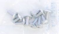 10/Pk Body Bolts m6x16 - photo 1