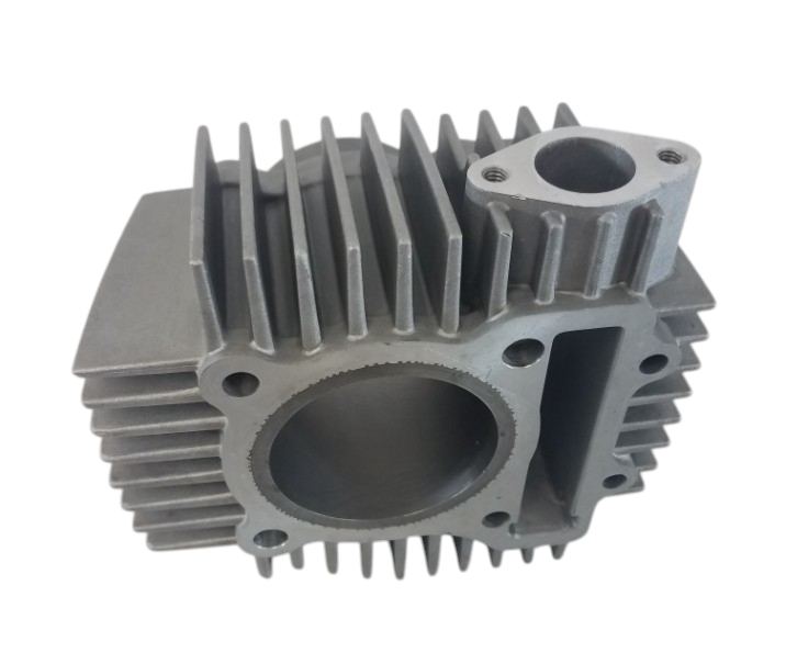 ZS 190 Cylinder