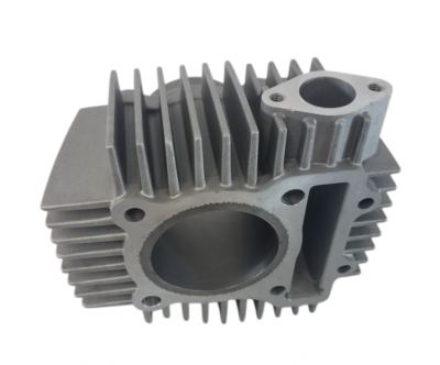 ZS 190 Cylinder