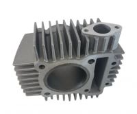 ZS 190 Cylinder - photo 1