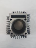 ZS 190 Cylinder - photo 2