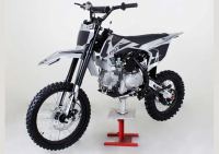 Pitster Pro - MXR 140 Semi-auto E-start - photo 3