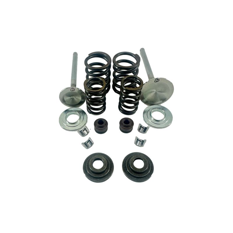 TBParts - Big Valve Kit for Honda MXS125 Grom and Monkey