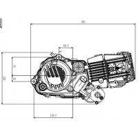 Piranha - Zongshen 190cc 2V Five Speed Electric Start Engine - photo 3