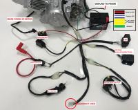 Piranha - Zongshen 190cc 2V Five Speed Electric Start Engine - photo 4
