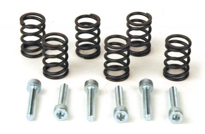 Heavy Duty Clutch Springs KLX/DRZ 110 EBC Brand