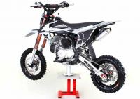 Pitster Pro - FSE 190R Daytona (12 x 14) - photo 7