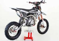 Pitster Pro - FSE 190R Daytona (14 x 17) - photo 2