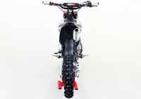 Pitster Pro - FSE 190R Daytona (14 x 17) - photo 4