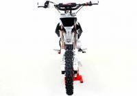 Pitster Pro - FSE 190R Daytona (14 x 17) - photo 5