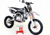 Pitster Pro - FSE 190R Daytona (14 x 17) - photo 7