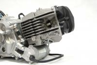 Piranha - Daytona 190FE 4-Valve 5-speed Engine - photo 4