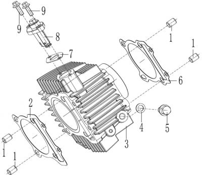 ZS 190 Cylinder Assembly