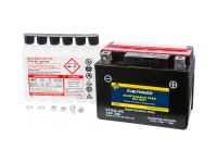 Fire Power Replacement Battery 12V WPS - photo 1