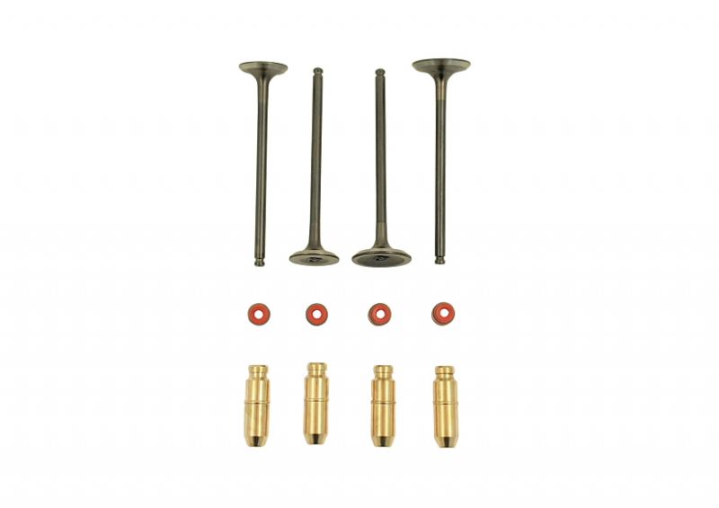 TBParts - Stainless Steel Valve Kit with Valve guides for Daytona Anima 190