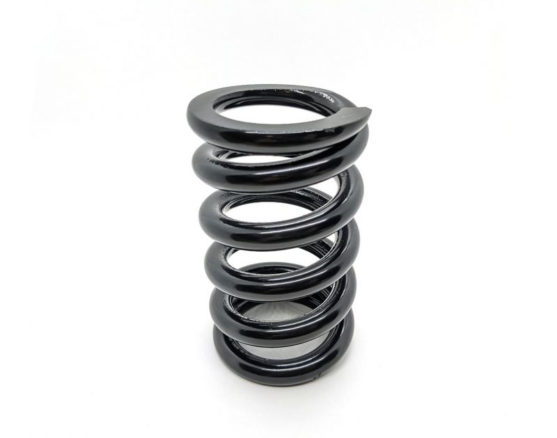 RH Moto Worx - DNM 1000lb Shock Spring