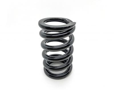 RH Moto Worx - DNM 1000lb Shock Spring