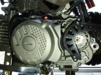 Piranha - Sprocket Guard for ZS 190/212 - photo 2