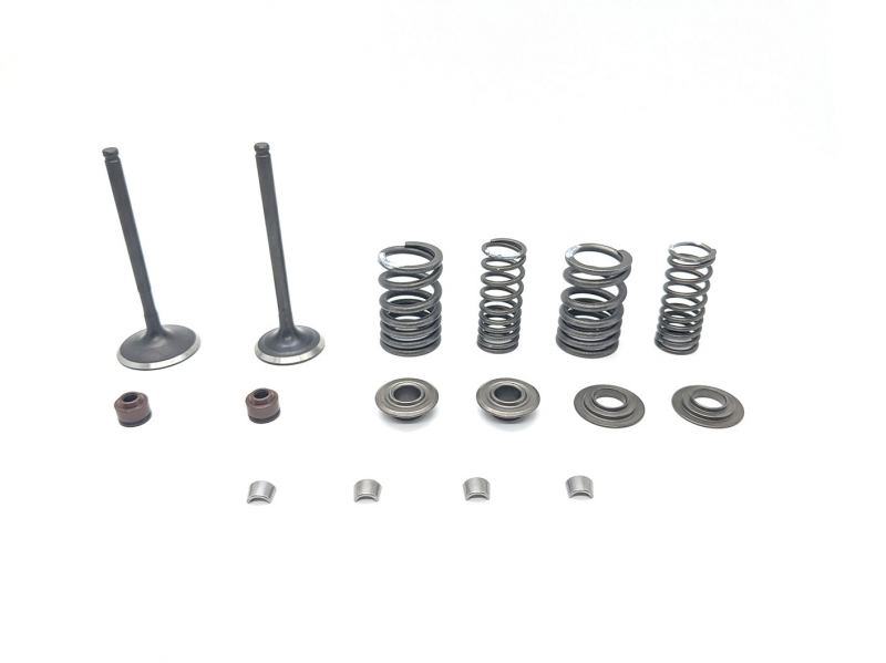 ZS 190 and 212 Valve Kit