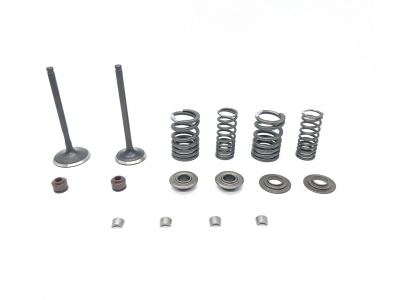 ZS 190 and 212 Valve Kit