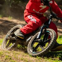 .Stacyc - Brushless 16 edrive - photo 5