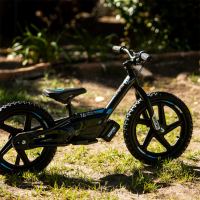.Stacyc - Brushless 16 edrive - photo 6