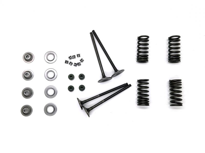 Daytona 190 Valve Kit