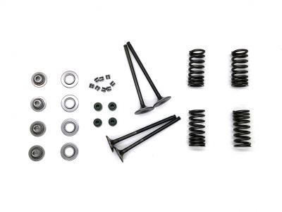 Daytona 190 Valve Kit