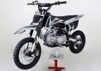 Pitster Pro - MXR 125 Manual - photo 4