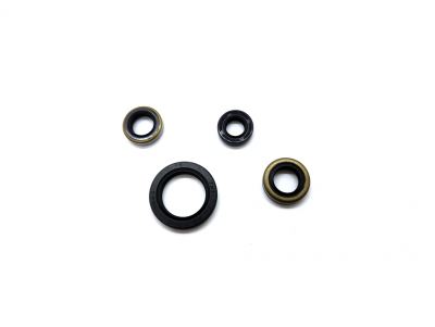 Vertex - Oil Seal Set for KLX140