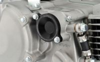 Daytona - Aluminum Oil Filter Cover in Black - photo 2