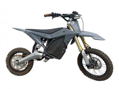 Electro and Co - Complete Body Plastic Set in Gray for ETM RTR