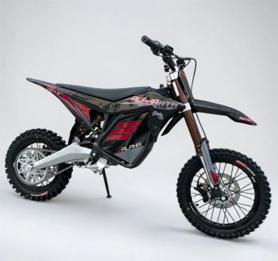 Electro and Co. - ETM RTR Alpha  The Worlds Fastest Pit Bike
