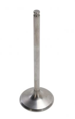 Kawasaki - OEM Intake Valve  for KLX140