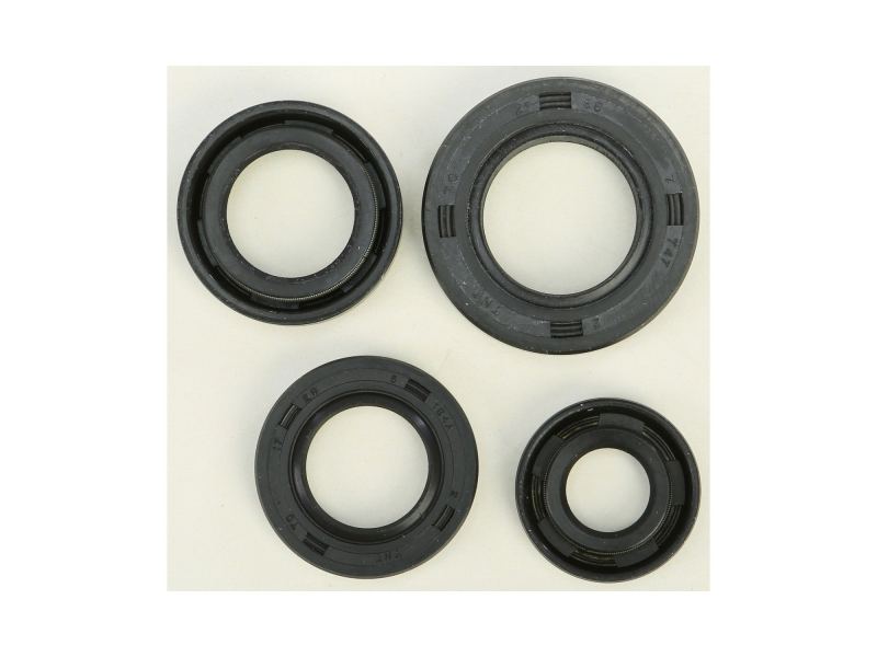 Winderosa Oil Seal Set CRF100