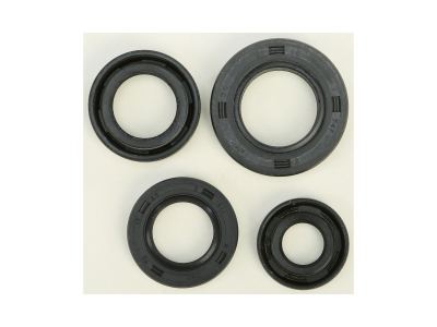 Winderosa Oil Seal Set CRF100
