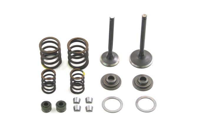 TB Race Head V1 Valve Kit - Same as stock ZS 155 and YX 160 Head