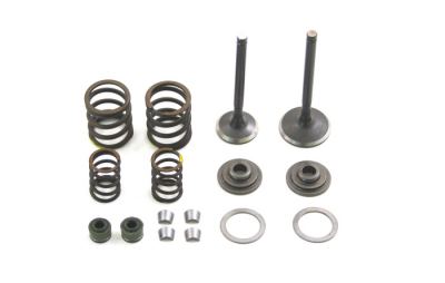 TB Race Head V1 Valve Kit - Same as stock ZS 155 and YX 160 Head