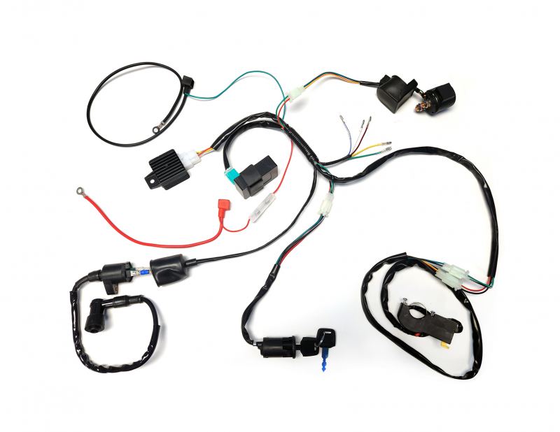 Electric Start Wiring Kit and Harness 12 VAC