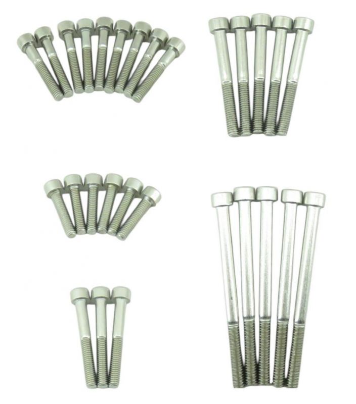 KLX110 DRZ110 Stainless Steel Bolts T-2  With Case Bolts