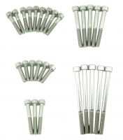 KLX110 DRZ110 Stainless Steel Bolts T-2 With Case Bolts