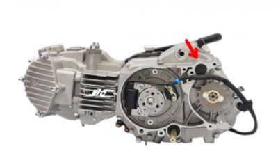 TRC - CRF50 & Pit Bike Neutral Switch Plug