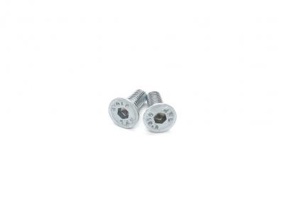 Stator Bolts 2pc