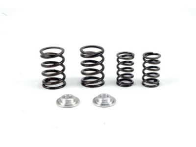BBR Valve Springs - HD / XR/CRF100, 93-Present