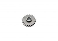 Idler Gear for GPX - YX - ZS 190 engines - photo 2