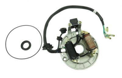 .Ignition Stator w/ lighting
